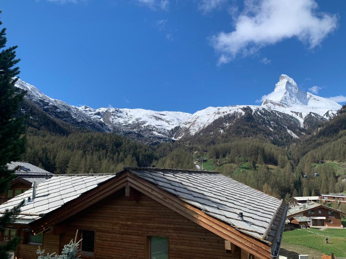Matterhorn Panorama Apartment Церматт Екстер'єр фото